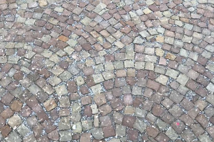 Наші роботи