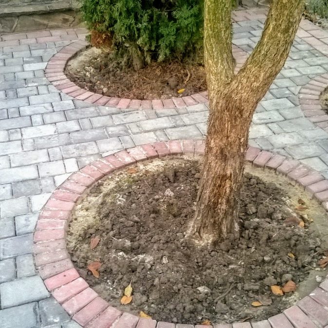 Подвір'я з клумбами