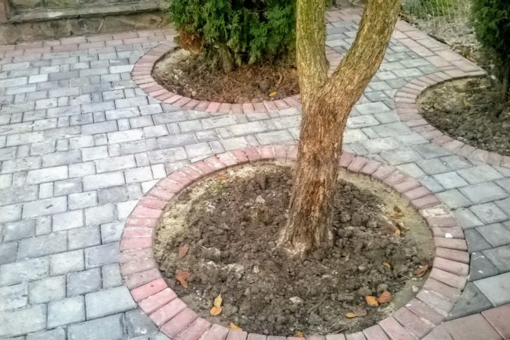 Наші роботи